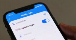 disable mobile data updates