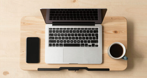 Best Portable Laptop Desks Compared